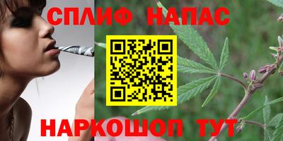 стаф Нальчик
