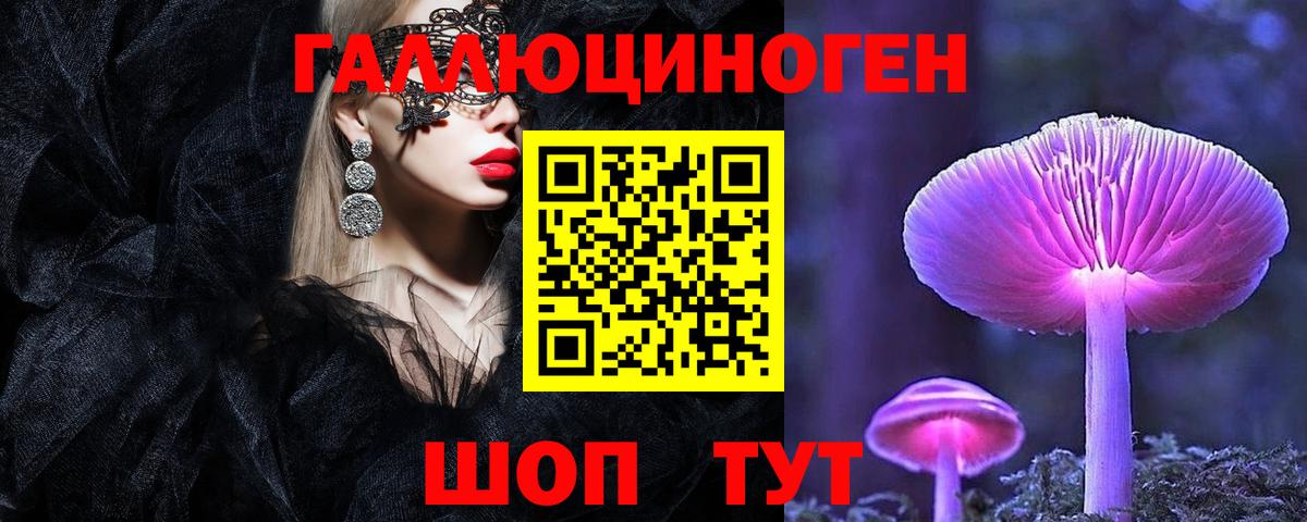 Псилоцибиновые грибы Cubensis  Галлюциногенные грибы Magic Shrooms  Сунжа  Вход с VPN 