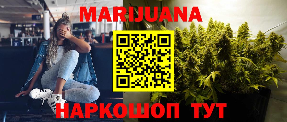 Канабис SATIVA & INDICA Сунжа